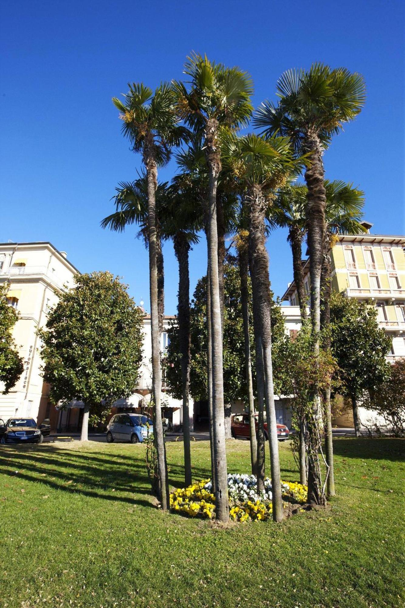 Appartamenti Lungolago Βερμπάνια Εξωτερικό φωτογραφία
